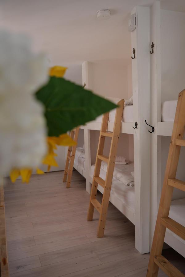 Tiny Private City Rooms Haarlem Exterior photo